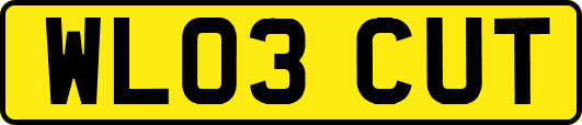 WL03CUT