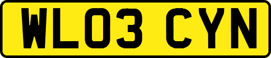 WL03CYN