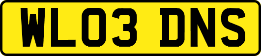 WL03DNS
