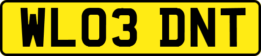 WL03DNT