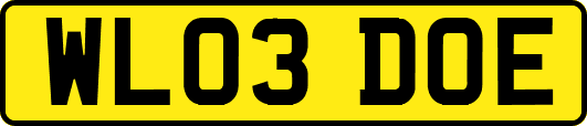 WL03DOE