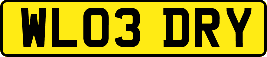 WL03DRY