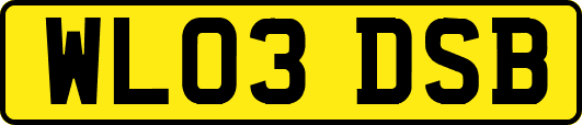 WL03DSB