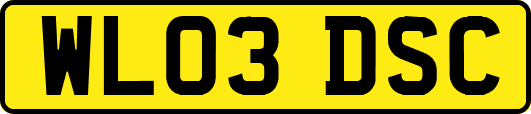 WL03DSC