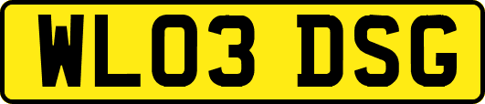 WL03DSG