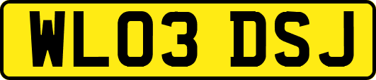 WL03DSJ