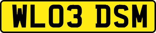 WL03DSM