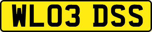 WL03DSS