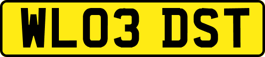 WL03DST