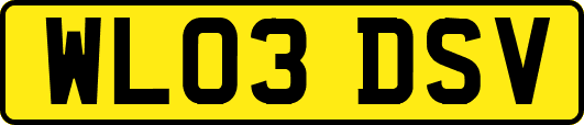 WL03DSV