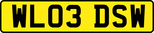 WL03DSW