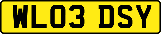 WL03DSY