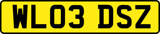 WL03DSZ