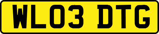WL03DTG