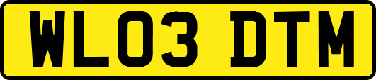 WL03DTM