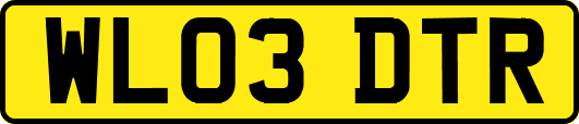 WL03DTR