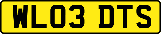 WL03DTS