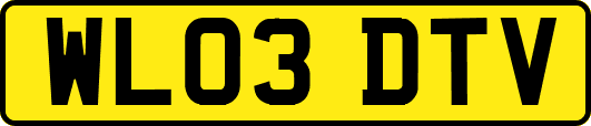 WL03DTV