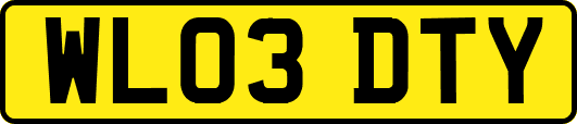 WL03DTY