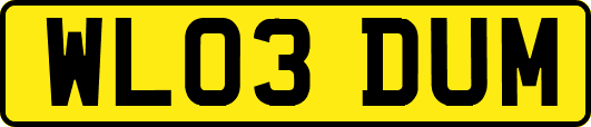 WL03DUM