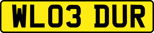 WL03DUR