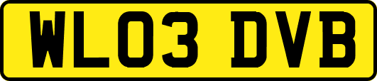 WL03DVB