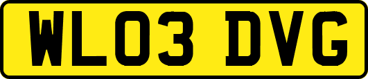 WL03DVG