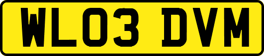 WL03DVM