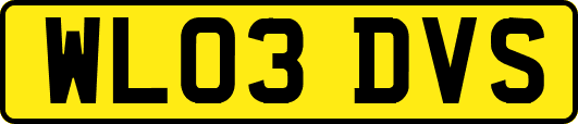 WL03DVS