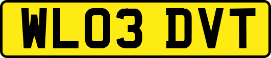 WL03DVT