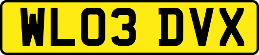 WL03DVX