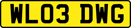 WL03DWG