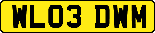 WL03DWM