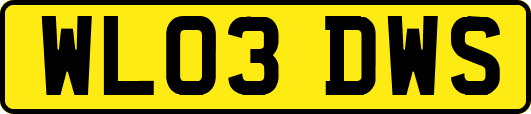 WL03DWS
