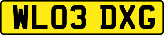WL03DXG