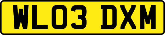 WL03DXM