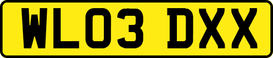 WL03DXX