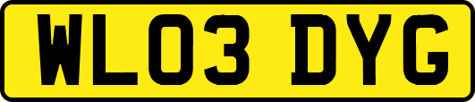 WL03DYG