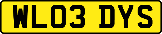 WL03DYS