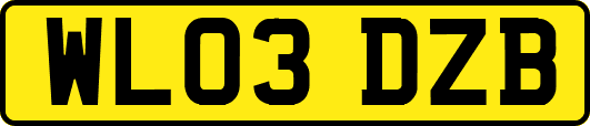 WL03DZB