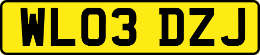 WL03DZJ