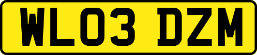 WL03DZM