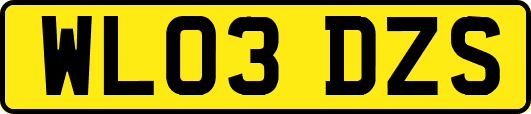 WL03DZS