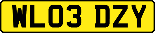 WL03DZY