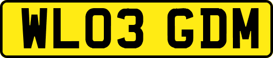 WL03GDM