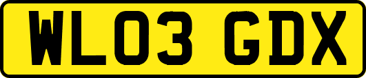 WL03GDX