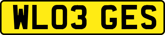 WL03GES