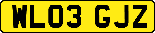 WL03GJZ