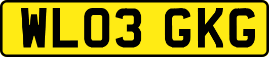 WL03GKG