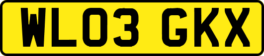 WL03GKX